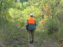 Corte costituzionale: il commento di Anuu alla sentenza contro la Regione Liguria corte costituzionale