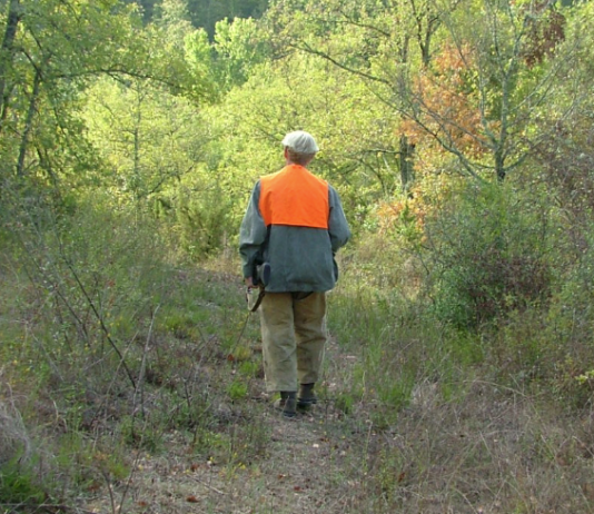 Corte costituzionale: il commento di Anuu alla sentenza contro la Regione Liguria corte costituzionale