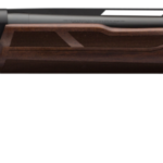Winchester