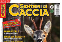 Sentieri di Caccia luglio 2017 in edicola dal 28 giugno Sentieri di Caccia luglio 2017