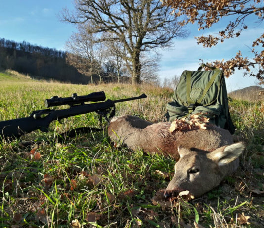 Fotografare la spoglia: un corso gratuito organizzato dal Blaser Club Italia Fotografare