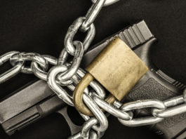 Impossibile ereditare le armi se c’è un pregiudicato in famiglia Armi ereditate