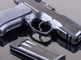 I vigili non possono rifiutarsi di portare l’arma Armi vigili