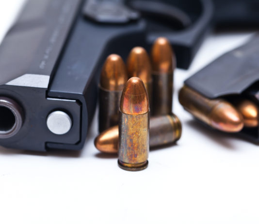 Aveva le armi a casa della madre, denunciato per omessa custodia Aveva le armi a casa della madre, denunciato per omessa custodia