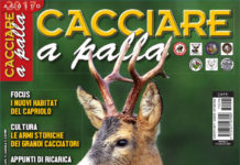 Cacciare a Palla agosto 2017 in edicola dal 15 luglio Cacciare a Palla agosto 2017