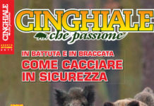 Cinghiale che Passione agosto-settembre 2017 in edicola dal 20 luglio Cinghiale che Passione agosto settembre 2017