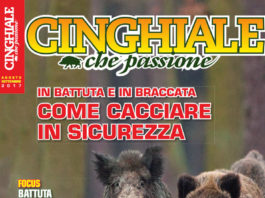 Cinghiale che Passione agosto-settembre 2017 in edicola dal 20 luglio Cinghiale che Passione agosto settembre 2017