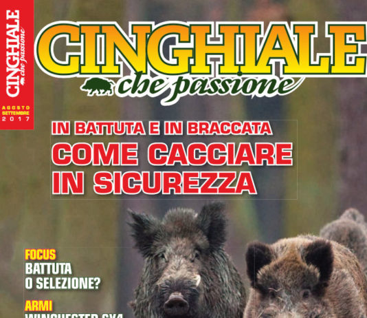 Cinghiale che Passione agosto-settembre 2017 in edicola dal 20 luglio Cinghiale che Passione agosto settembre 2017