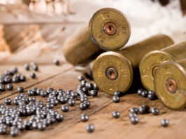 E dentro casa l’arma di una persona deceduta