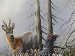 Giulio Tasca: una mostra personale a Pozza di Fassa Giulio Tasca