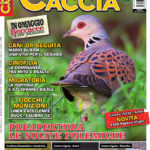 Sentieri di Caccia agosto 2017 in edicola dal 28 luglio Sentieri di Caccia agosto 2017