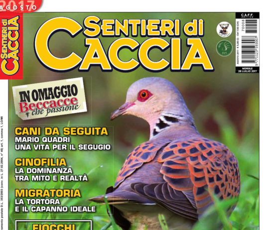 Sentieri di Caccia agosto 2017 in edicola dal 28 luglio Sentieri di Caccia agosto 2017