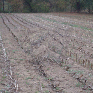 GhostBlind Waterfowl Blind