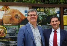 Orso marsicano: firmato protocollo d’intesa per la sua tutela orso marsicano