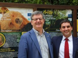 Orso marsicano: firmato protocollo d’intesa per la sua tutela orso marsicano