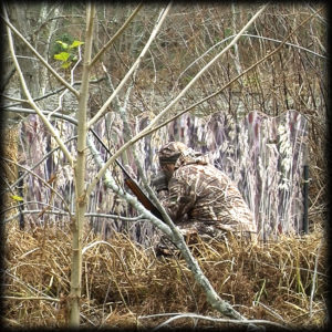 gostblind waterfowl blind