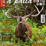 Cacciare a Palla settembre 2017 in edicola dal 12 agosto Cacciare a Palla settembre 2017
