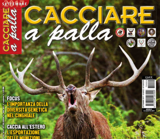 Cacciare a Palla settembre 2017 in edicola dal 12 agosto Cacciare a Palla settembre 2017