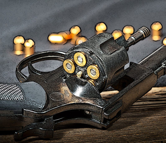 Litiga col cliente e lo colpisce col calcio della pistola