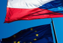 Azione legale della Repubblica Ceca contro la Direttiva Armi Repubblica Ceca