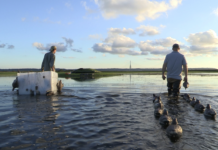 Caccia, i programmi in onda a settembre su Sky canale 235 Sky caccia