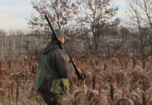 Liguria: deroghe, ricorso al Tar contro Ispra Liguria