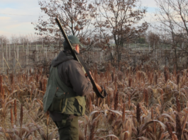Liguria: deroghe, ricorso al Tar contro Ispra Liguria