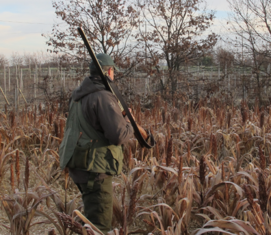 Liguria: deroghe, ricorso al Tar contro Ispra Liguria