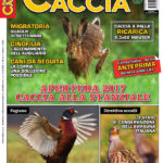 Sentieri di Caccia settembre 2017 in edicola dal 26 agosto Sentieri di Caccia settembre 2017