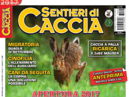 Sentieri di Caccia settembre 2017 in edicola dal 26 agosto Sentieri di Caccia settembre 2017