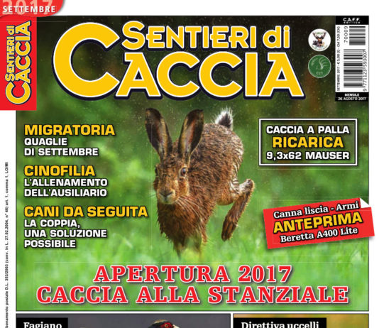 Sentieri di Caccia settembre 2017 in edicola dal 26 agosto Sentieri di Caccia settembre 2017