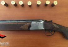 Trovato sovrapposto all’interno di un bosco