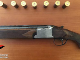 Trovato sovrapposto all’interno di un bosco