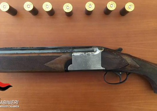 Trovato sovrapposto all’interno di un bosco