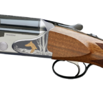 beccaccia rizzini