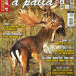 Cacciare a Palla ottobre 2017 in edicola dal 16 settembre Cacciare a Palla ottobre 2017