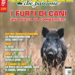 Cinghiale che Passione ottobre-novembre 2017 in edicola dal 28 settembre Cinghiale che Passione ottobre novembre 2017