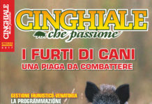 Cinghiale che Passione ottobre-novembre 2017 in edicola dal 28 settembre Cinghiale che Passione ottobre novembre 2017