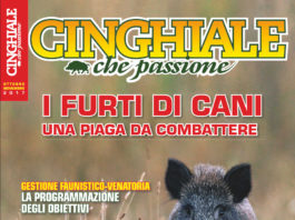 Cinghiale che Passione ottobre-novembre 2017 in edicola dal 28 settembre Cinghiale che Passione ottobre novembre 2017