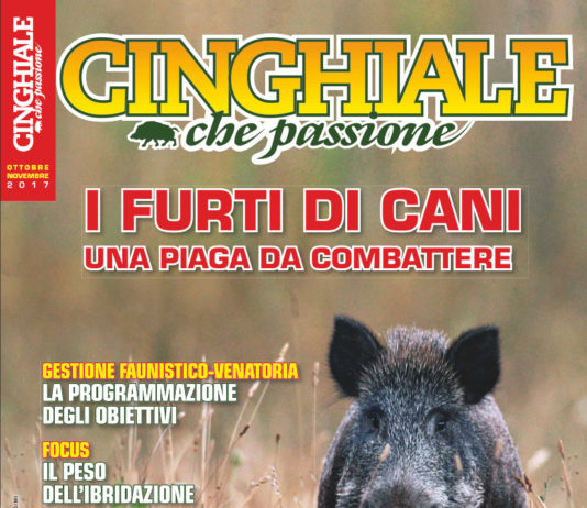 Cinghiale che Passione ottobre-novembre 2017 in edicola dal 28 settembre Cinghiale che Passione ottobre novembre 2017