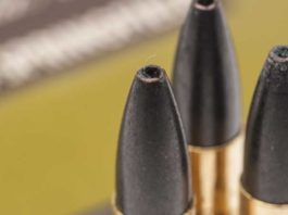 Fiocchi Freccia Nera: non solo per il cinghiale Fiocchi Freccia Nera