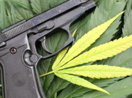 Lo trovarono con cinque grammi di hashish: dieci anni per avere il porto d’armi