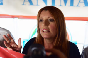 Lanciando il nuovo Movimento animalista, Michela Vittoria Brambilla mette sotto accusa il mondo della caccia e delle armi.