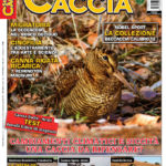 Sentieri di Caccia ottobre 2017 in edicola dal 28 settembre Sentieri di Caccia ottobre 2017