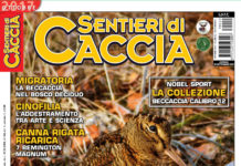 Sentieri di Caccia ottobre 2017 in edicola dal 28 settembre Sentieri di Caccia ottobre 2017