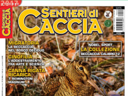 Sentieri di Caccia ottobre 2017 in edicola dal 28 settembre Sentieri di Caccia ottobre 2017