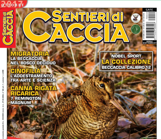 Sentieri di Caccia ottobre 2017 in edicola dal 28 settembre Sentieri di Caccia ottobre 2017
