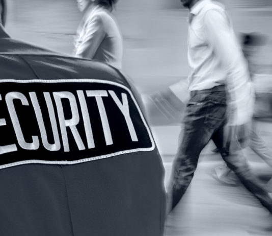 Sottratta arma a guardia giurata in servizio