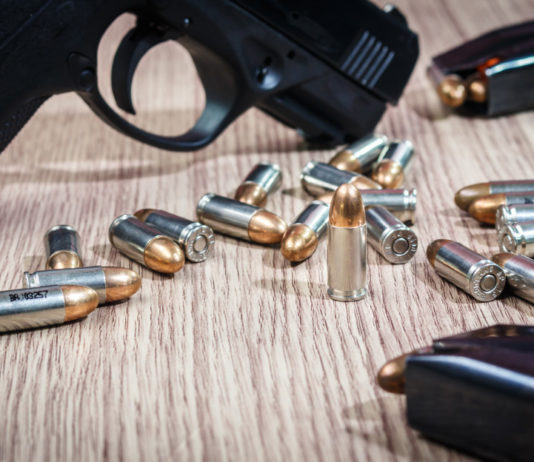 Stretta in Valle Aniene, 135 controlli e 5 denunce