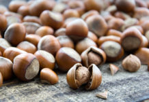 Tenta di rubare 40 kg di nocciole, agricoltore lo minaccia con la pistola: denunciati entrambi